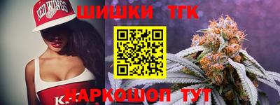 гидра Заводоуковск