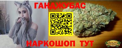 гидра Заводоуковск
