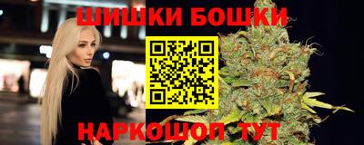 гидра Заводоуковск